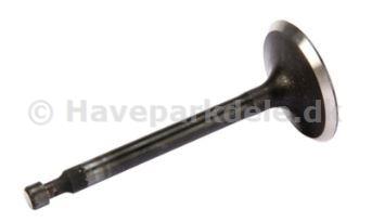 Intake valve