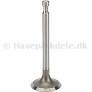 Intake valve