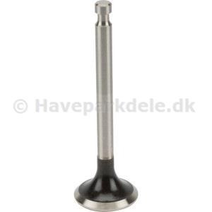 Exhaust valve