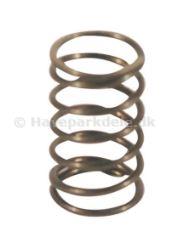 Valve spring