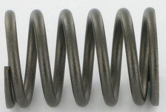 Valve spring