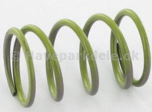 Valve spring