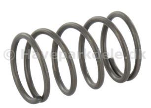 Valve spring