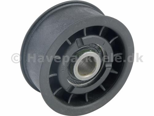 Roller tensioner with Bearing
