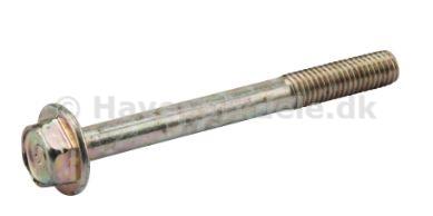 Flange bolt M5 x 50 mm