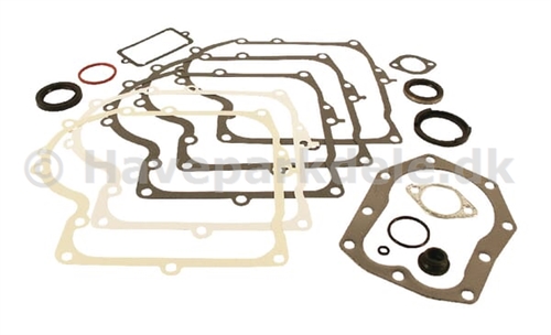 B&S Gasket Set-Engine