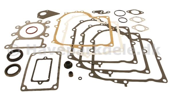 B&S Gasket set