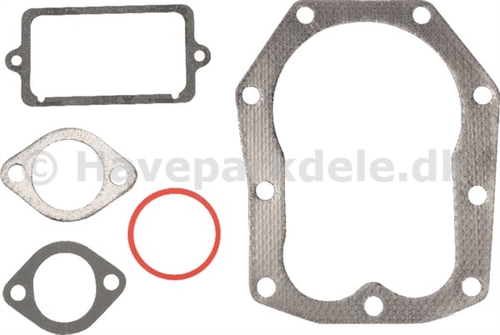 B&S Gasket Set-Valve