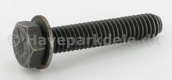 B&S Camshaft