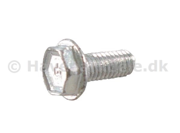 B&S Screw