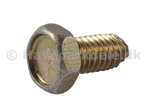 B&S Screw