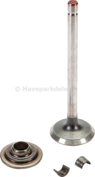 B&S Exhaust valve