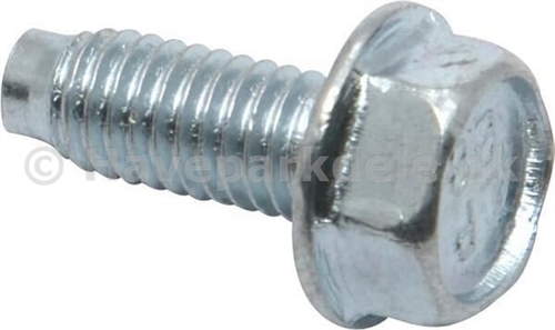 B&S Screw