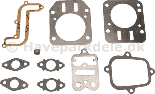 B&S Gasket Set-Valve