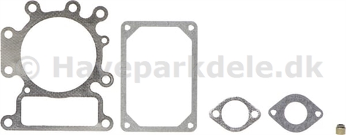 B&S Gasket Set-Valve