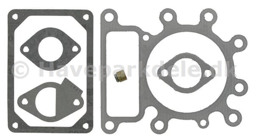 B&S Gasket Set-Valve