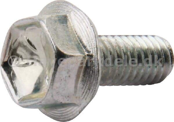 B&S Screw