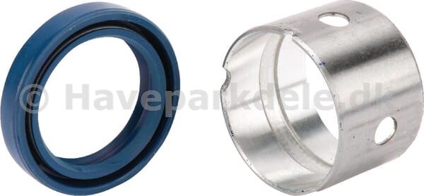 B&S Kit-Bushing/Seal